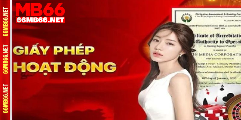 Những giấy phép hoạt động MB66 có liên quan