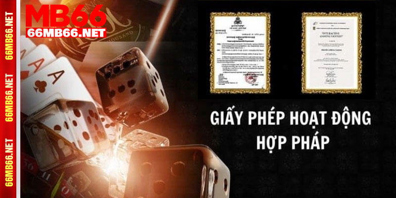 Nội dung giấy phép hoạt động MB66 2025